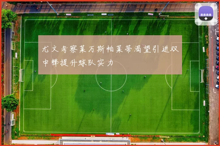 尤文考察莱万斯帕莱蒂渴望引进双中锋提升球队实力
